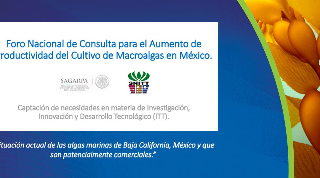 Algas Pacific at the Macroalgas National Forum Mexico