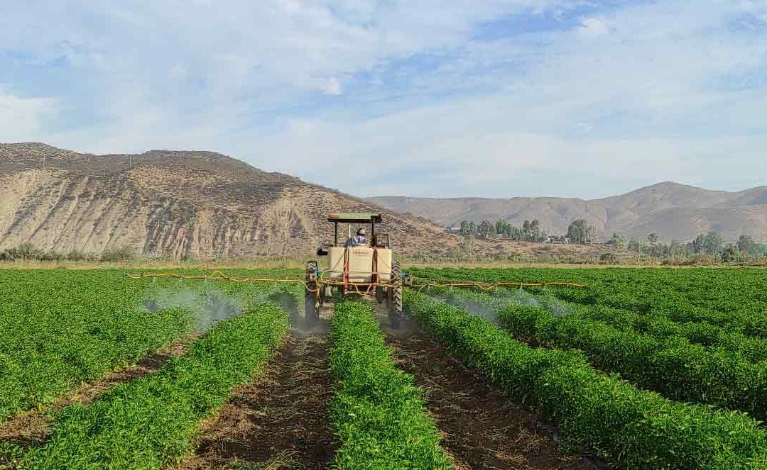 El Método AP: Estrategia y liderazgo en bioestimulación vegetal